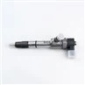 Bosch Diesel Fuel Injector 0445110965