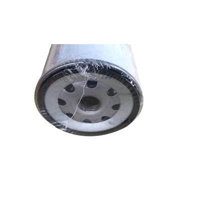 Fuel Filter 02937814 For Deutz